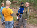 2007 Sommer